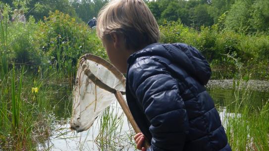 Klik voor een vergroting