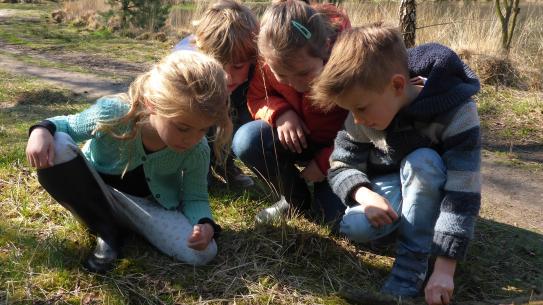 Klik voor een vergroting