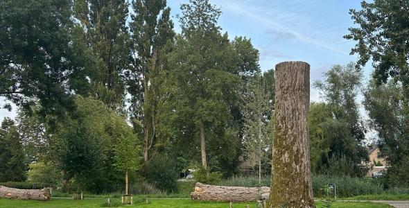 Boomstam die blijft liggen in een park