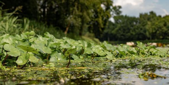 Deze afbeelding is een sfeerimpressie van water